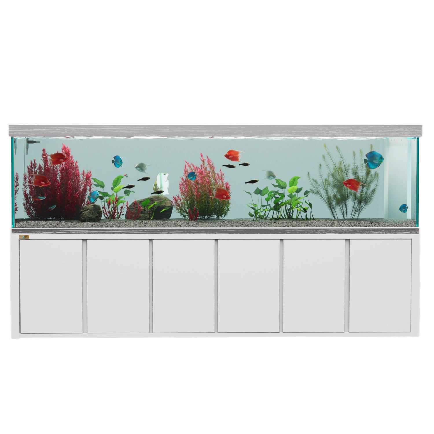View of Stylish Home Aquariums for Every Space – Freshwater & Marine