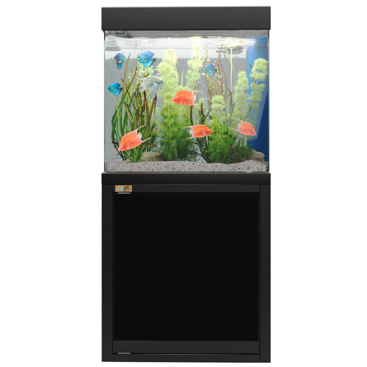 40 Gallon Aquariums