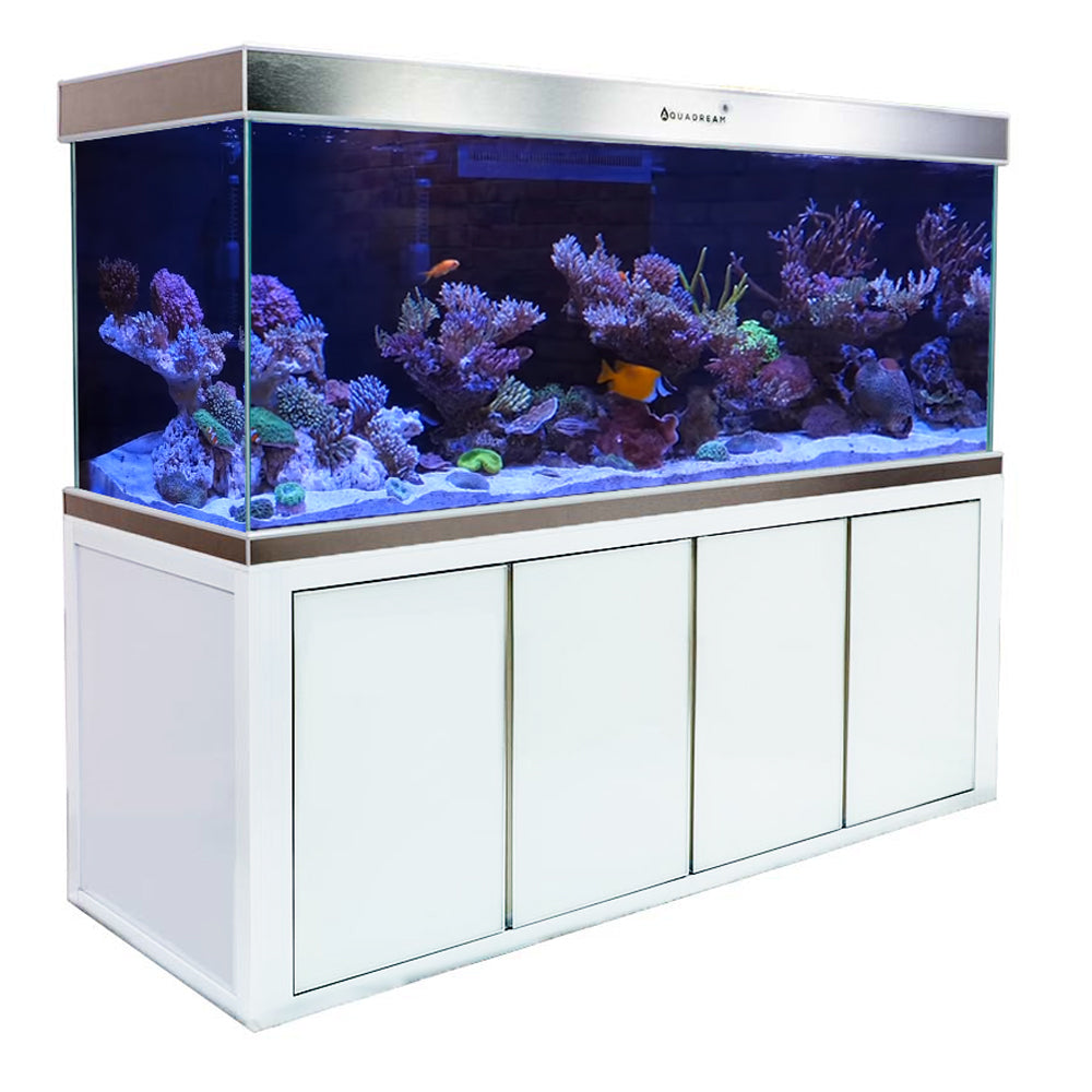 300 Gallon Fish Tanks