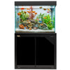 50 gallon aquarium