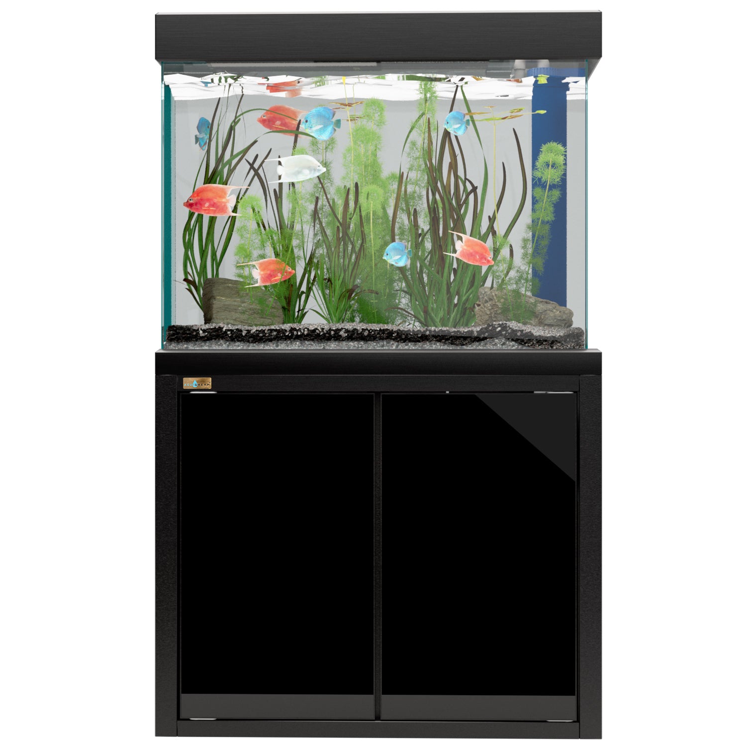 100 gallon fish tank aquarium