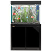 100 gallon fish tank aquarium