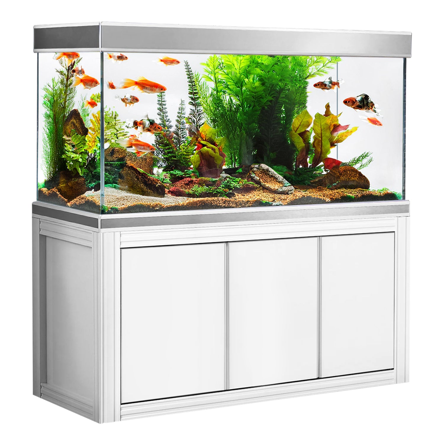 200 gallon aquarium