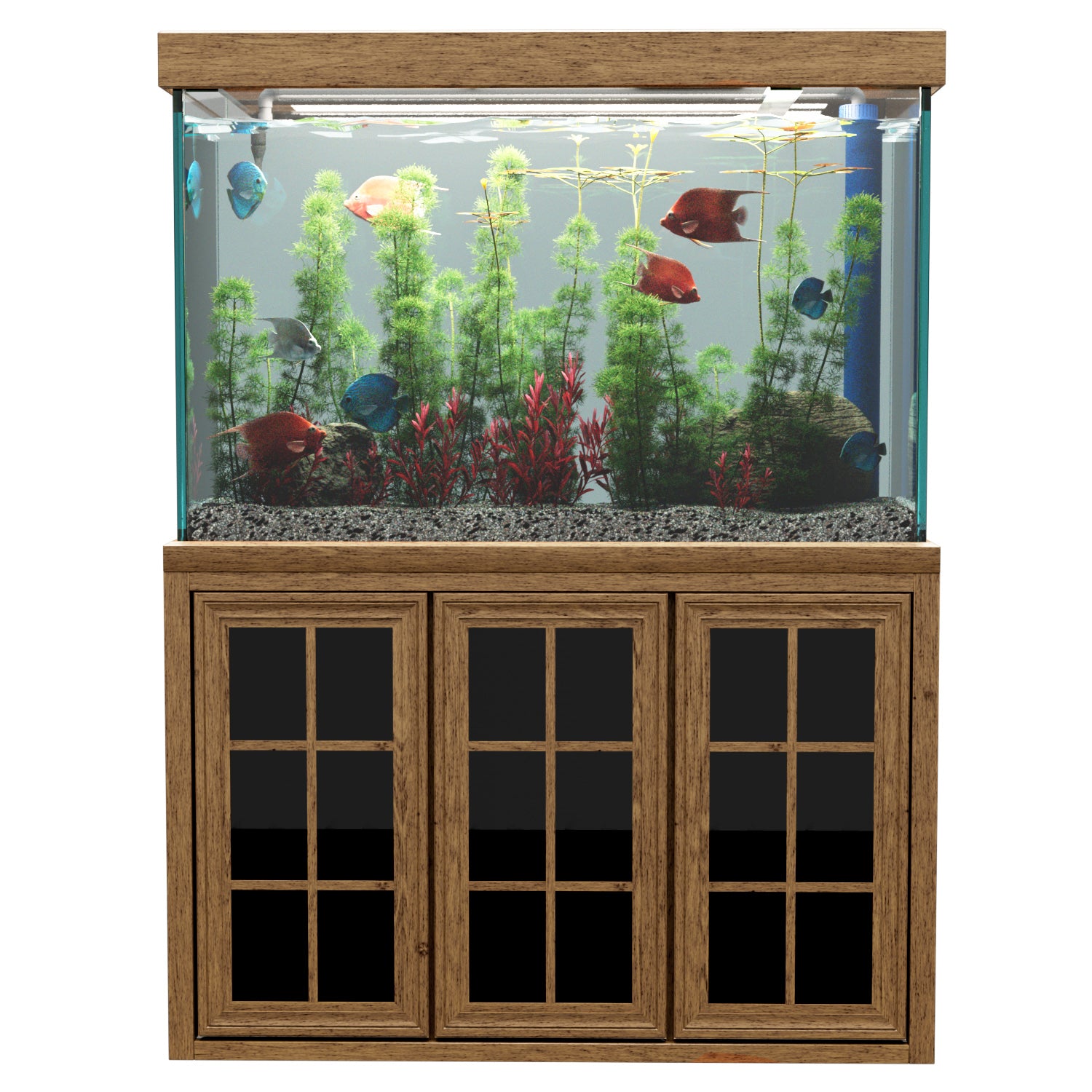 Long Aquarium Tank 22 Gallon Long Mr Aqua Tanks Aqua Dream 200