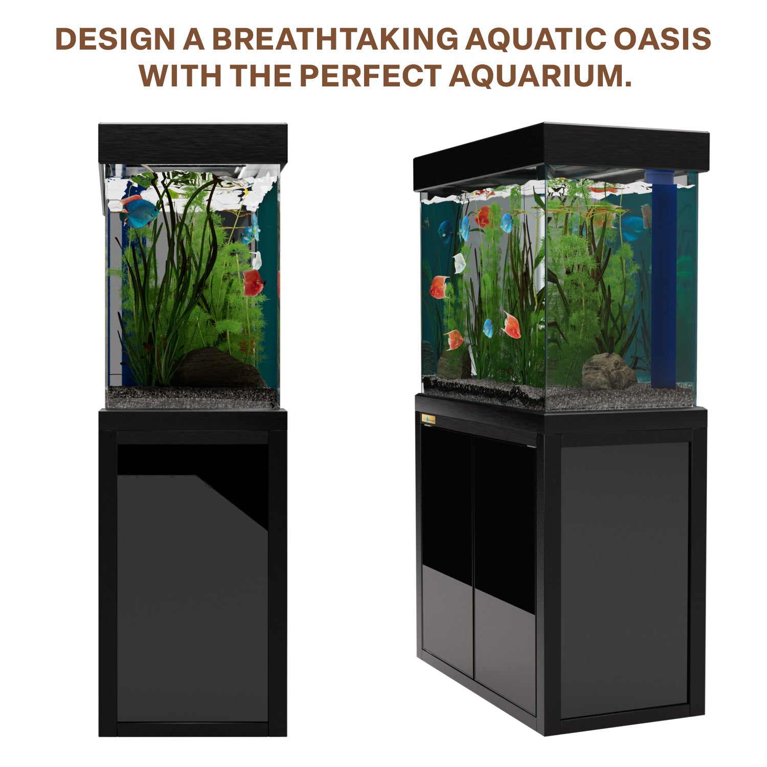 100 gallon fish tank aquarium