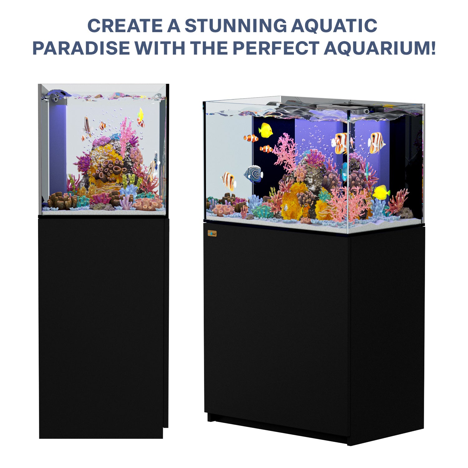 aquarium 90 gallon