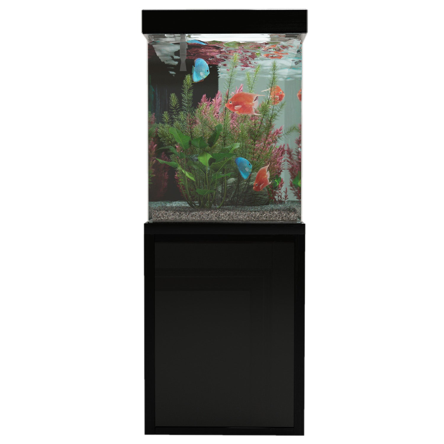 Aqua Dream 260 Gallon Aquarium Black Premium