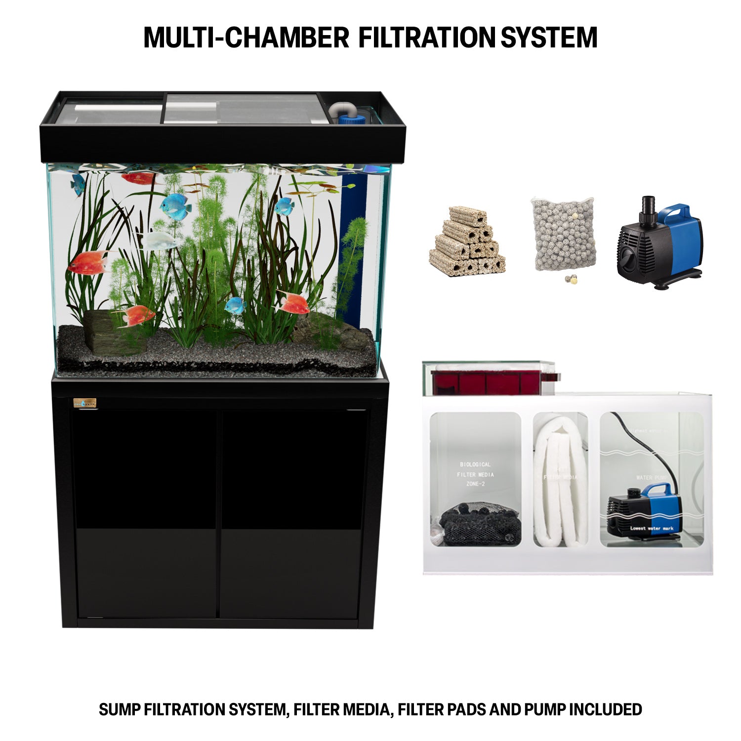 100 gallon fish tank aquarium