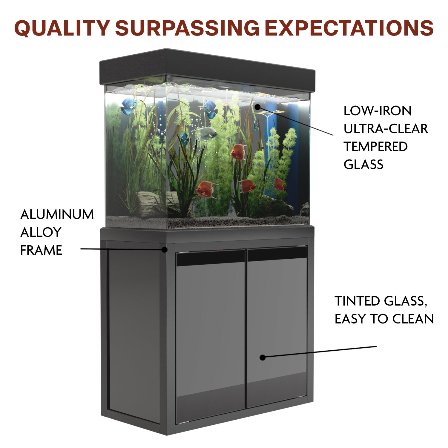 50 gallon aquarium