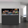 fish tank with built in filter