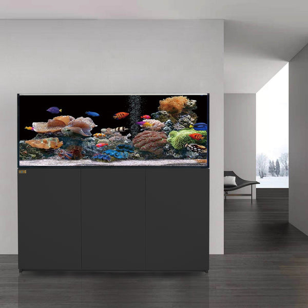 fish tank with built in filter