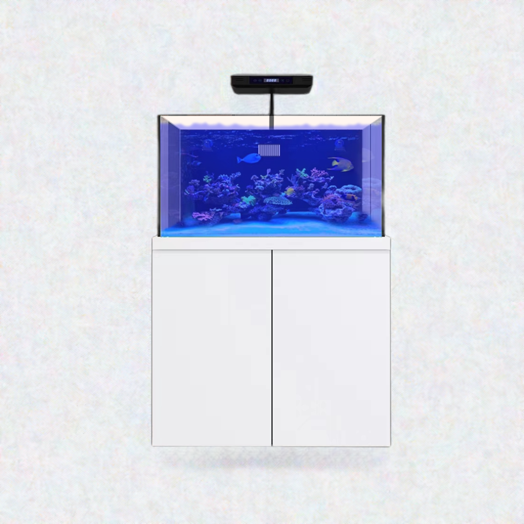 100 Gallon Aquarium