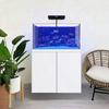 100 Gallon Aquarium