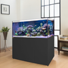 250 Gallon Tank