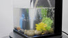 aquarium pump