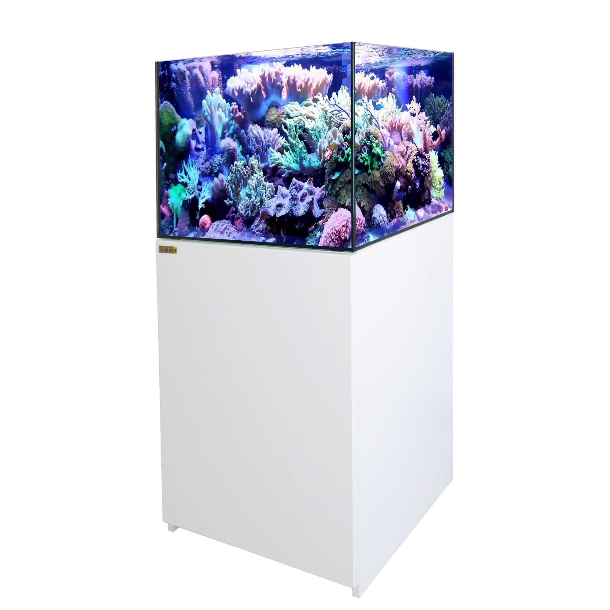 90 Gallon Coral Reef Aquarium Ultra Clear Glass Tank & Built in Sump A