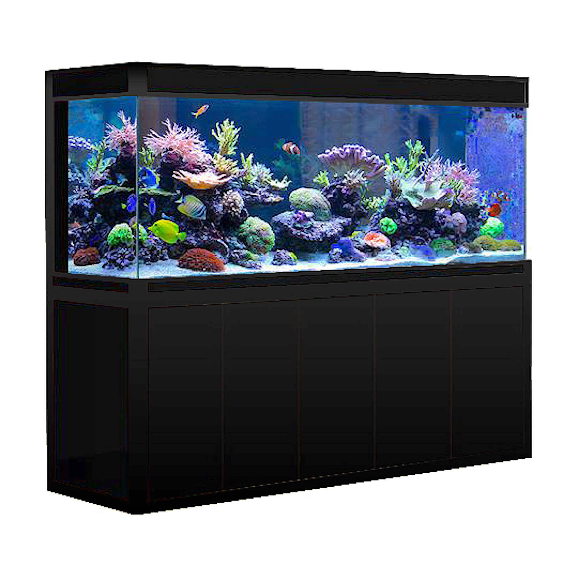 A large fish tank/aquarium on stand. Complete with 'Fluval' light
