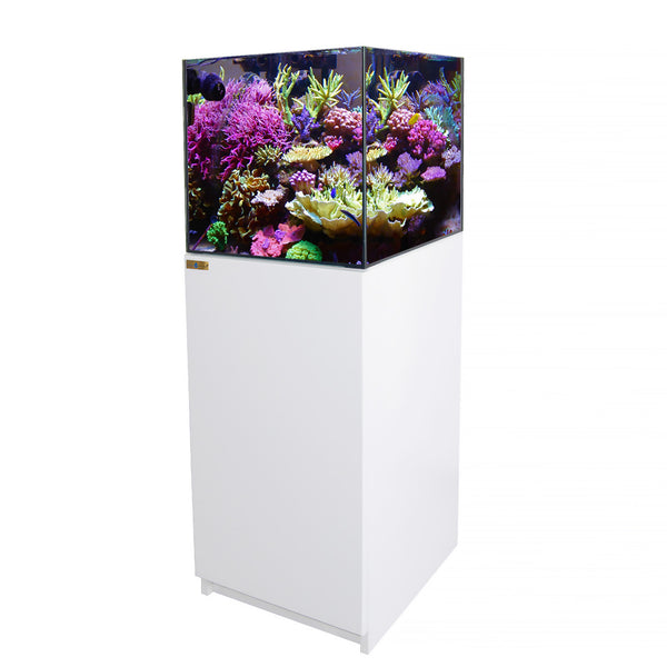 37 Gallon Coral Reef Aquarium Ultra Clear Glass Tank & Built in Sump All White