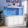 200 gallon aquarium