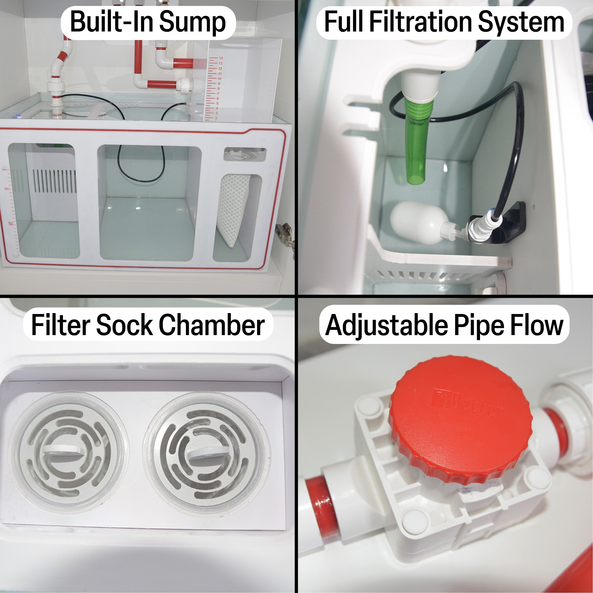 100 gallon fish tank aquarium