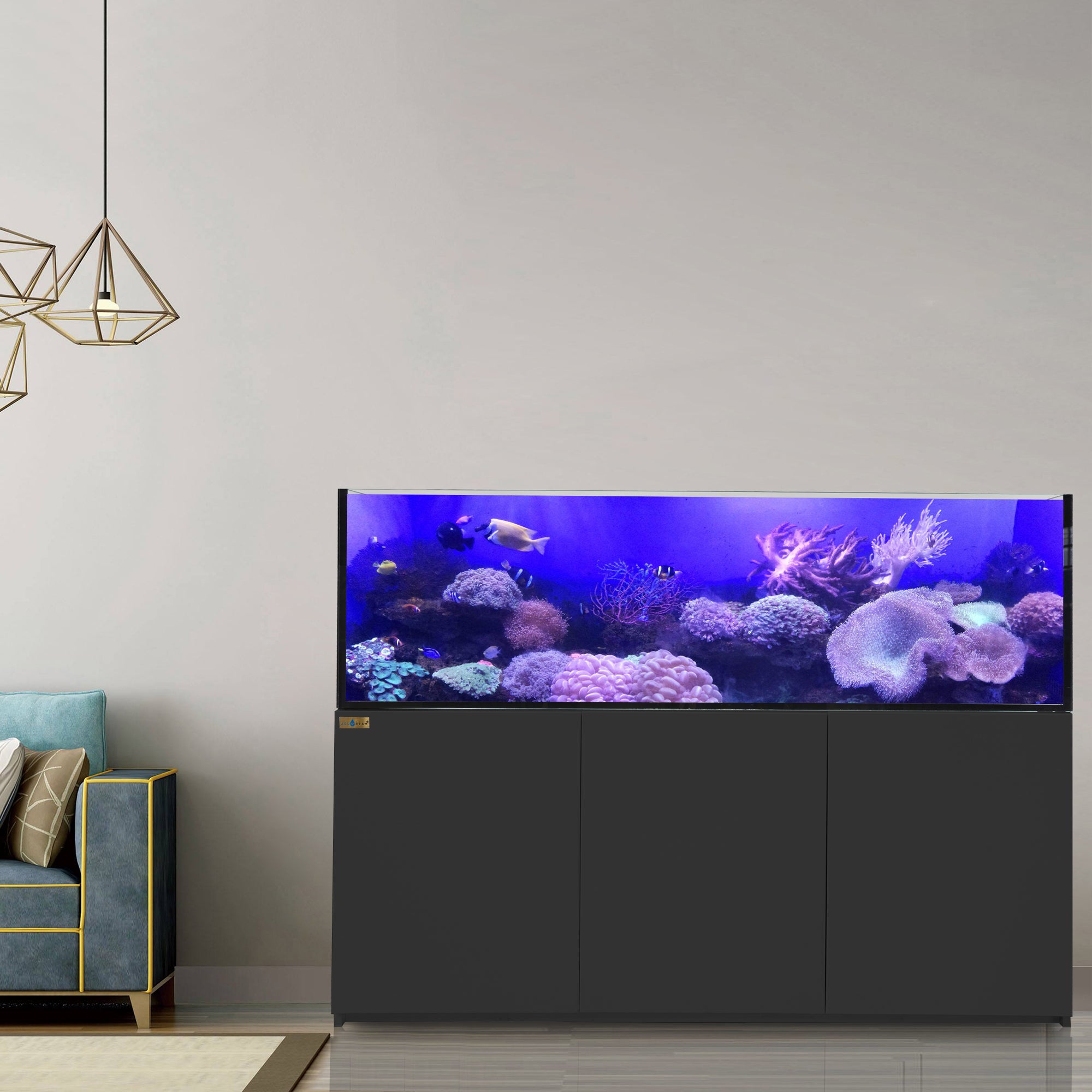 250 Gallon Tank