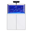 100 Gallon Aquarium