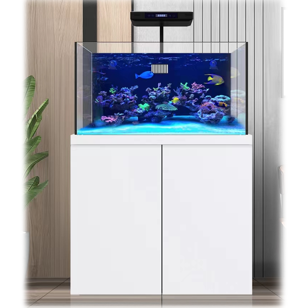 100 Gallon Aquarium