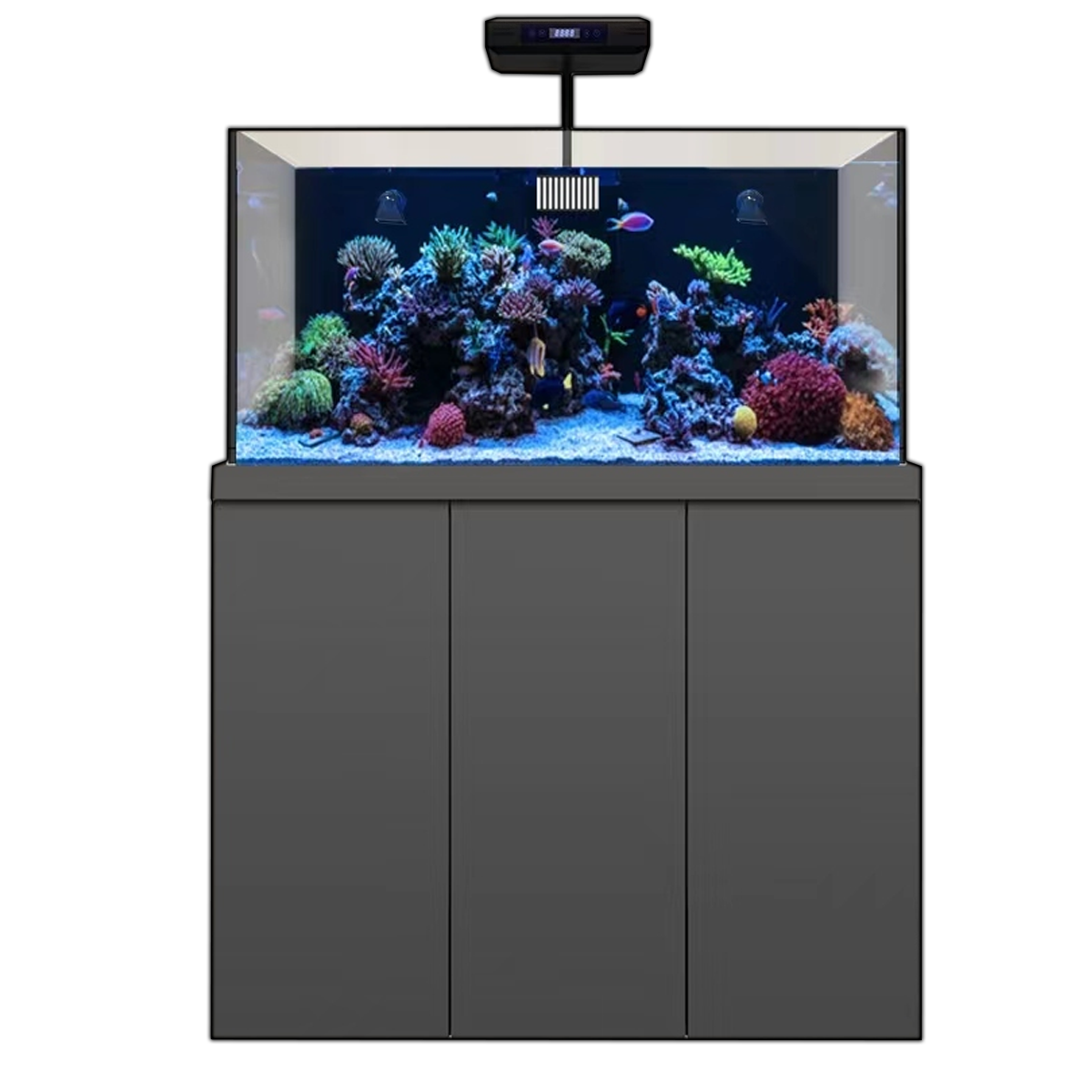 145 Gallon Coral Reef Fish Tank Complete Reef Aquarium Set including T
