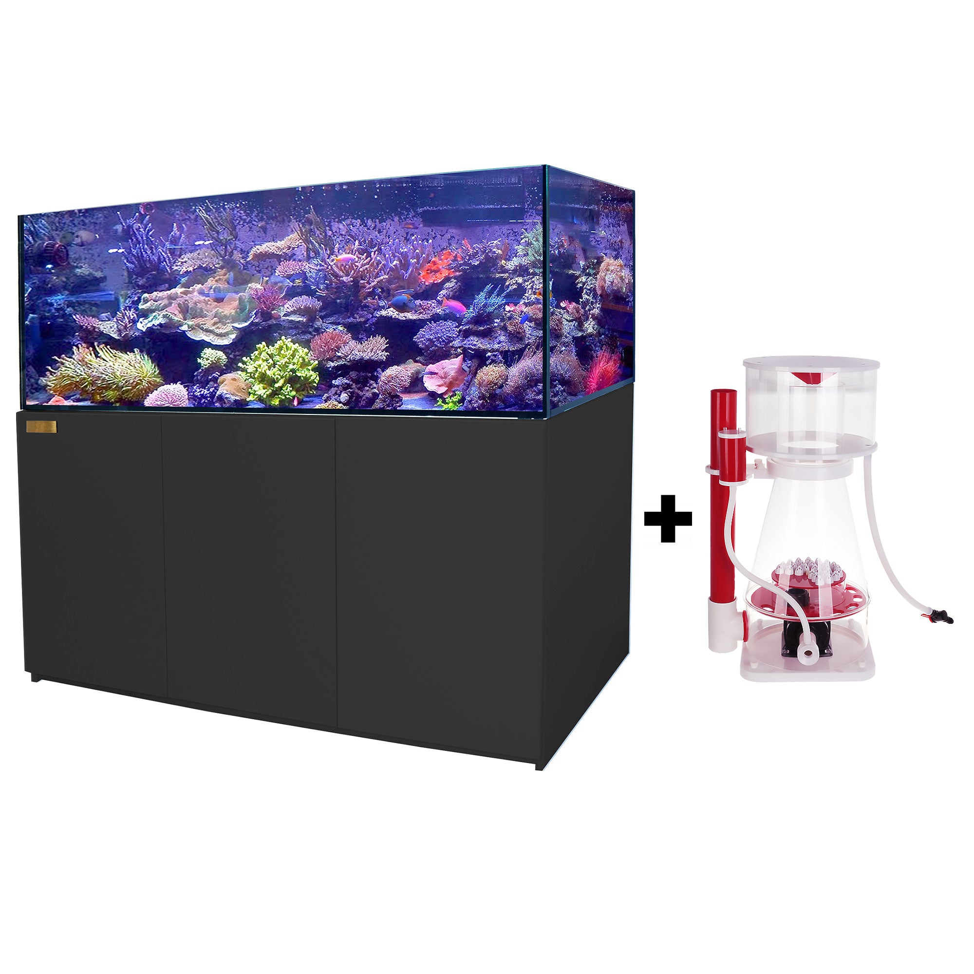 250 Gallon Tank