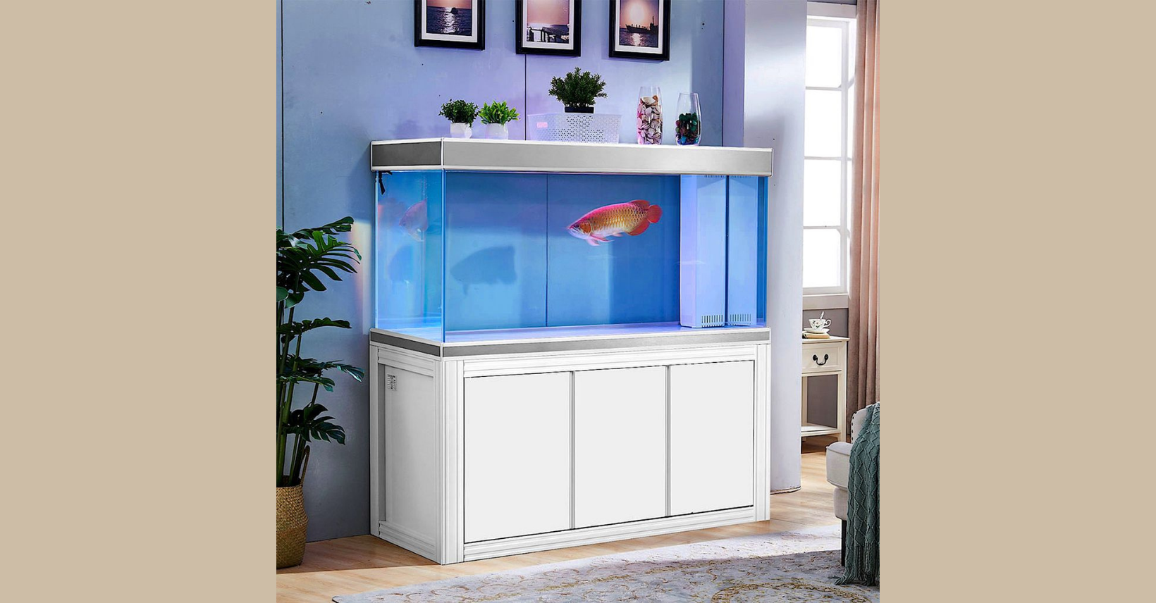 200 Gallon Aquarium