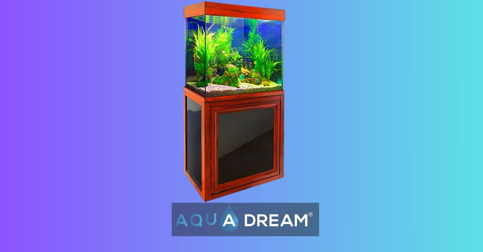 40 Gallon Fish Tanks