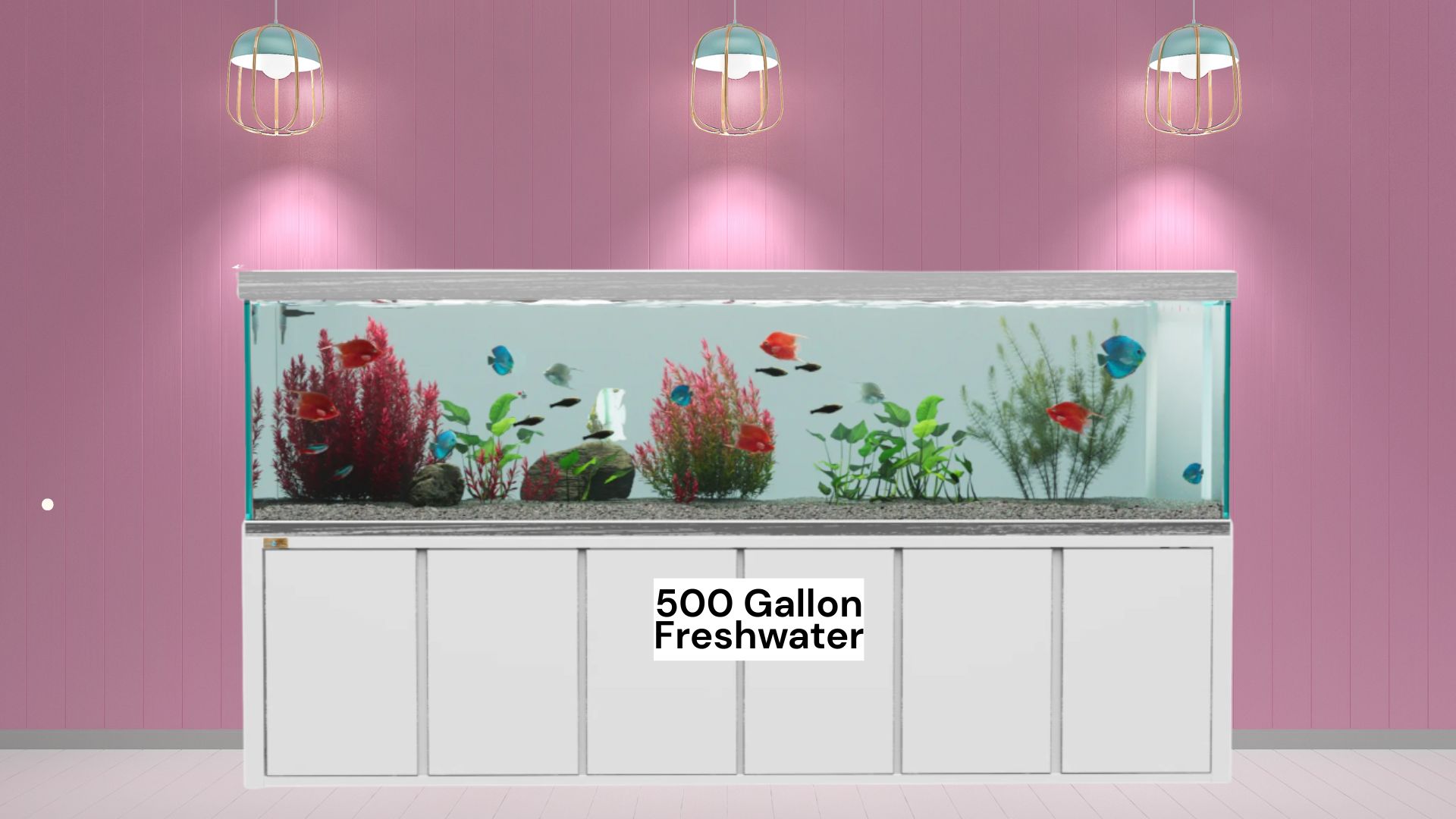 500 Gallon Fish Tank