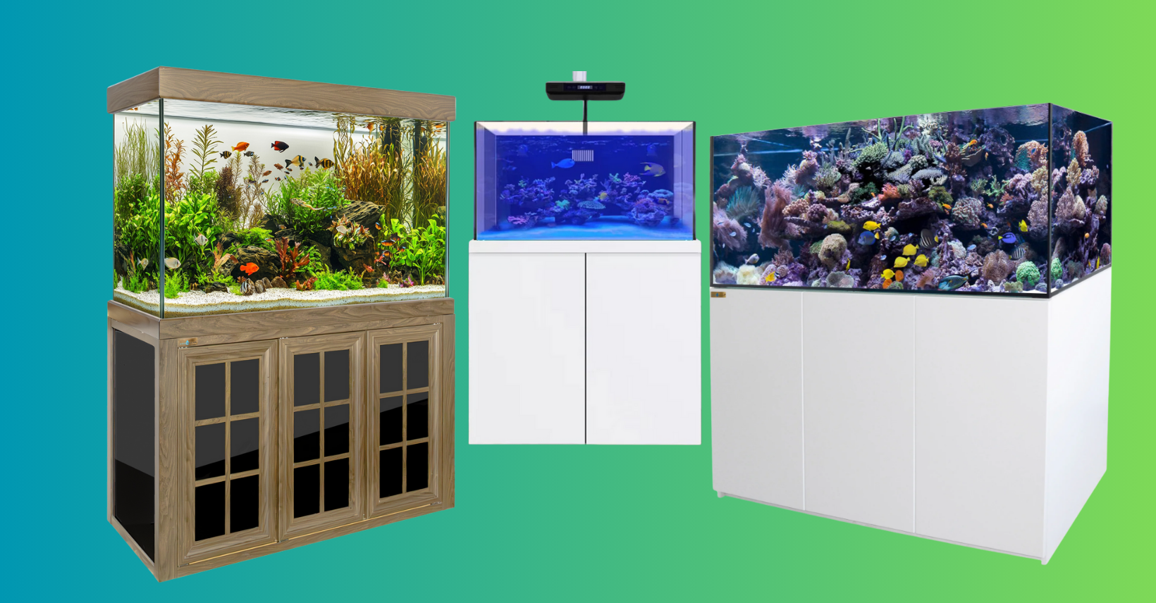Aquarium