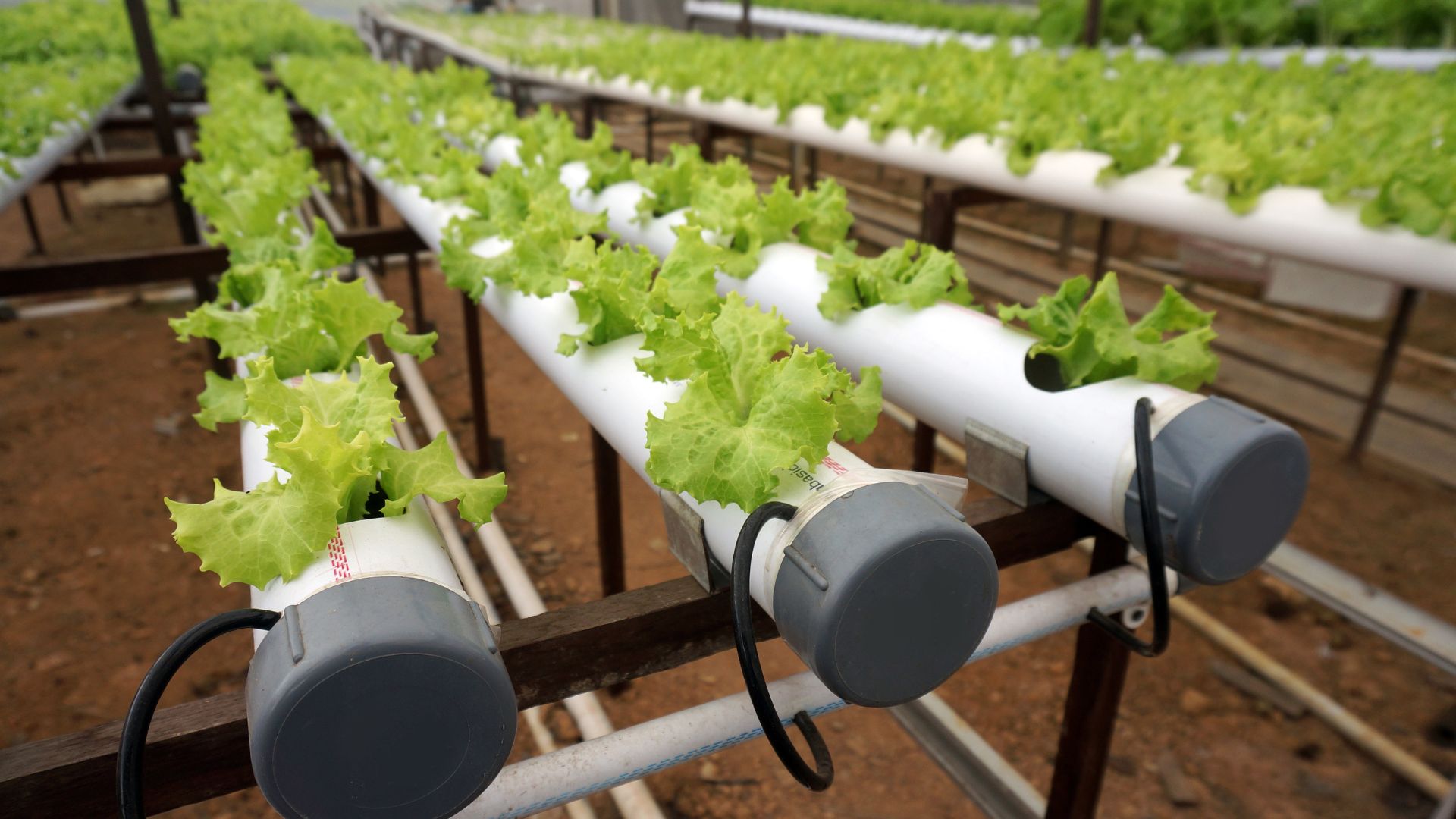 what is hydroponics