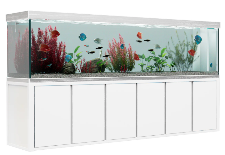 500 gallon fish tank