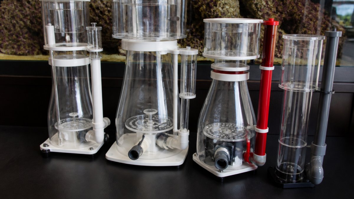 Best Protein Skimmers for Reef Tanks: 2026 Guide