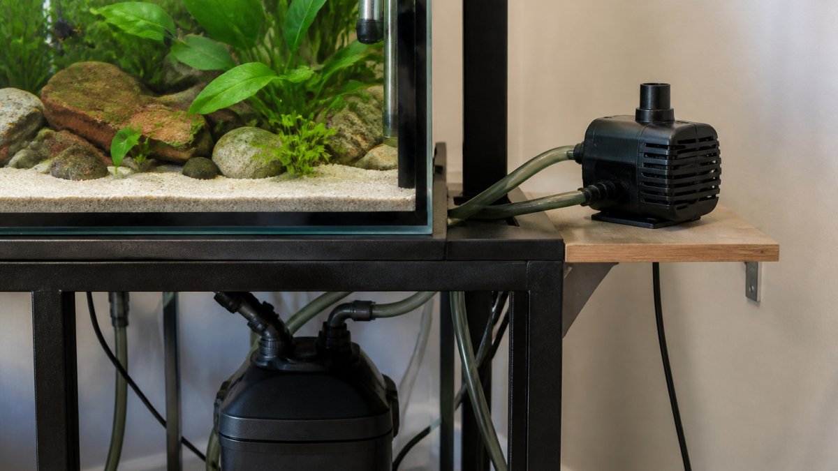 How to Stop Aquarium Pump Vibration Fast | 2026 Guide