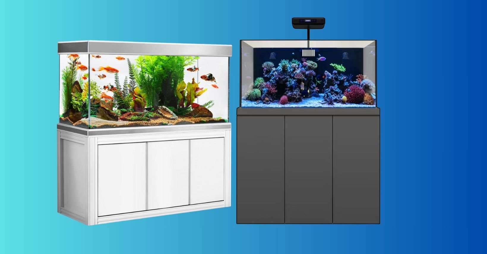 150 gallon fish tank