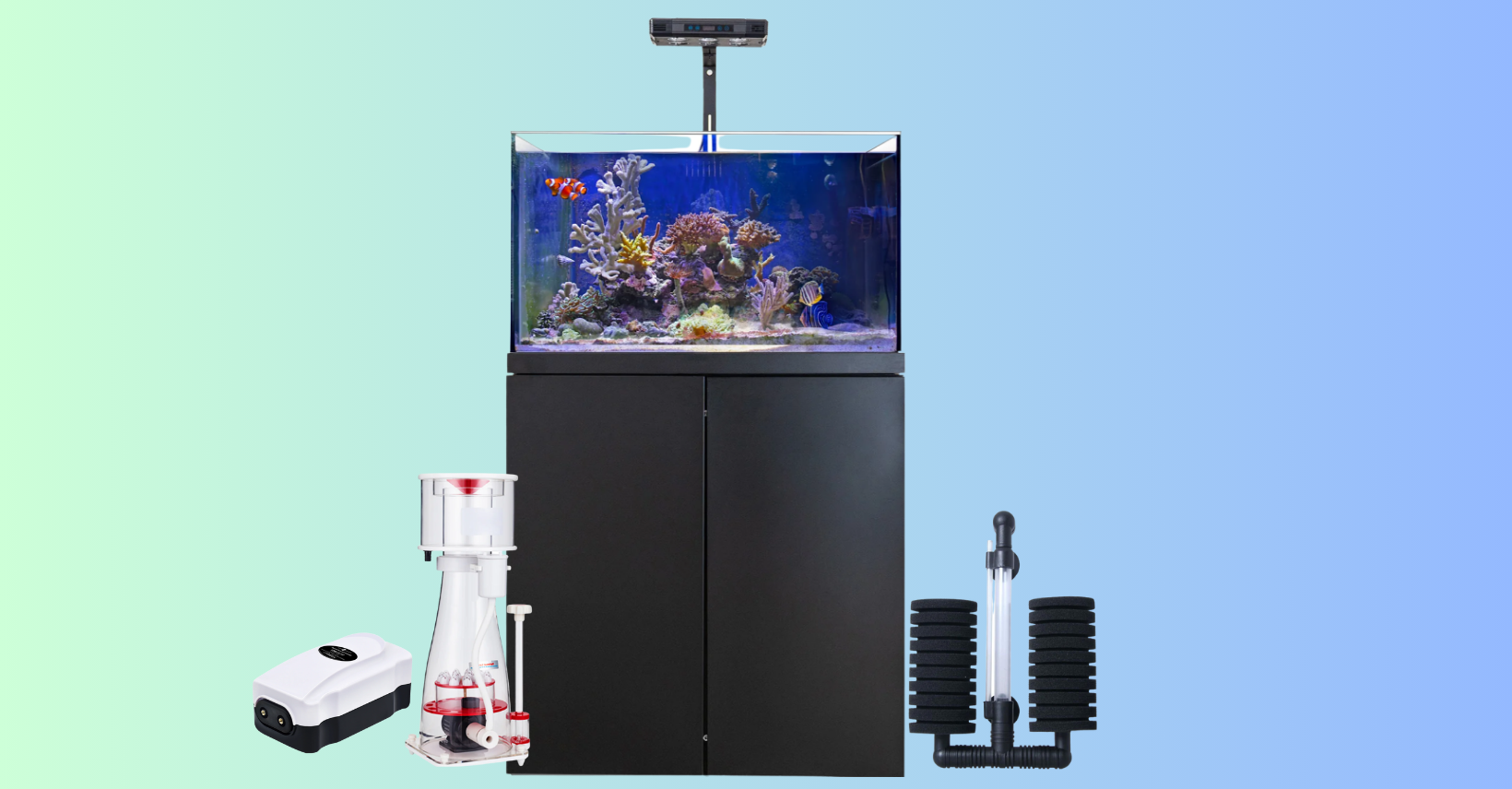 fish tank and supplies