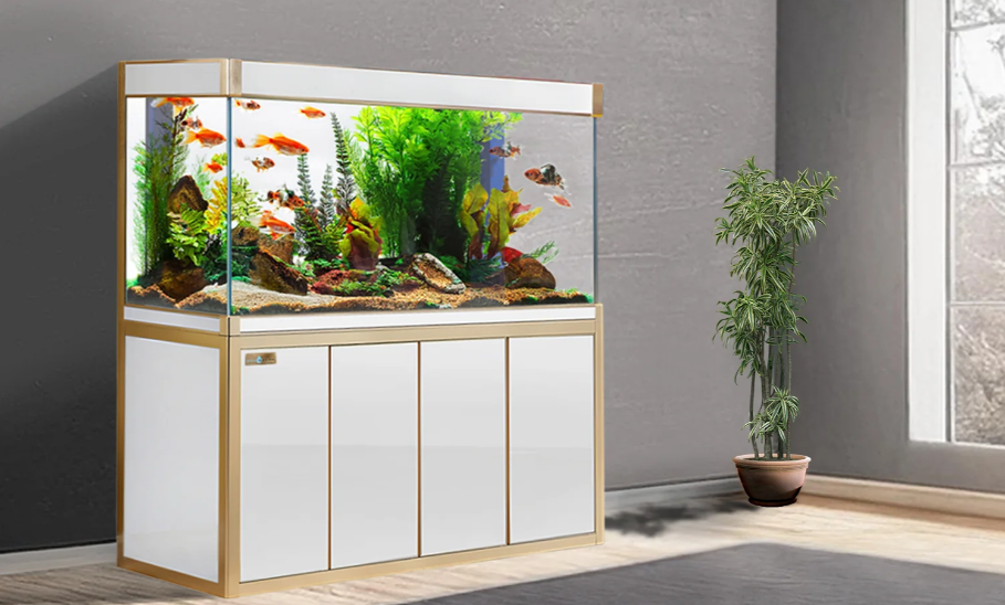 250 Gallon Fish Tank