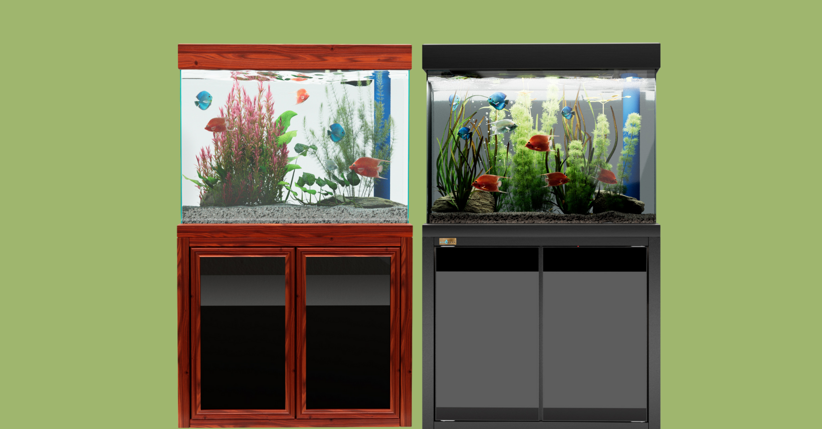 50 Gallon Tank