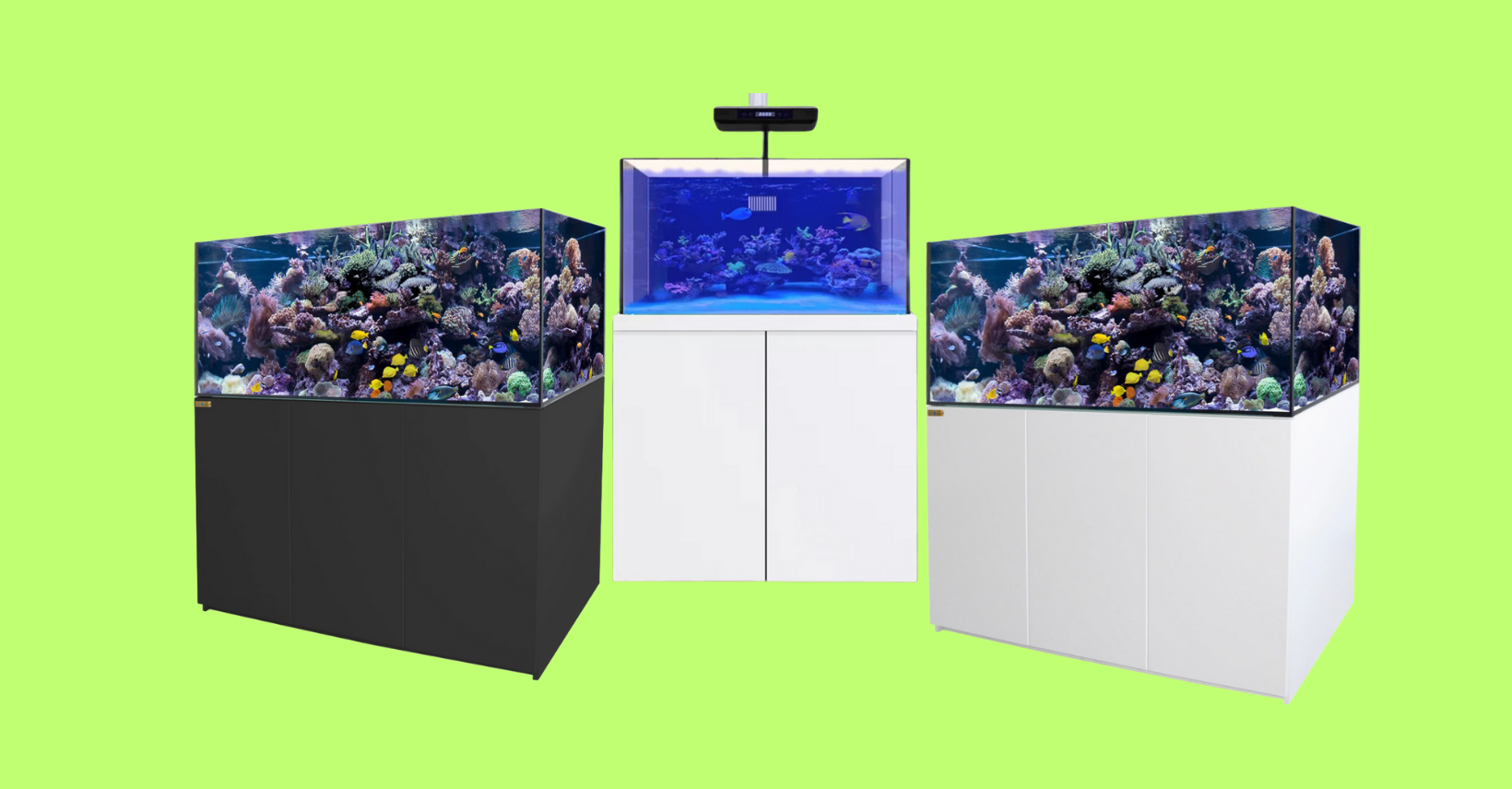 sea water fish tank