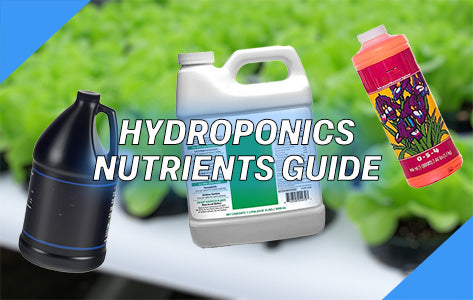 Hydroponic Nutrients Guide