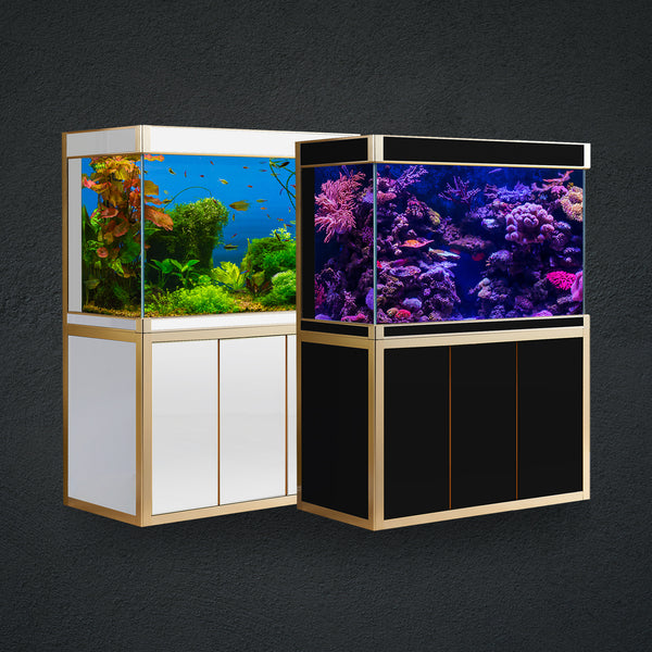 New 220 & 250 Gallon Tank Models