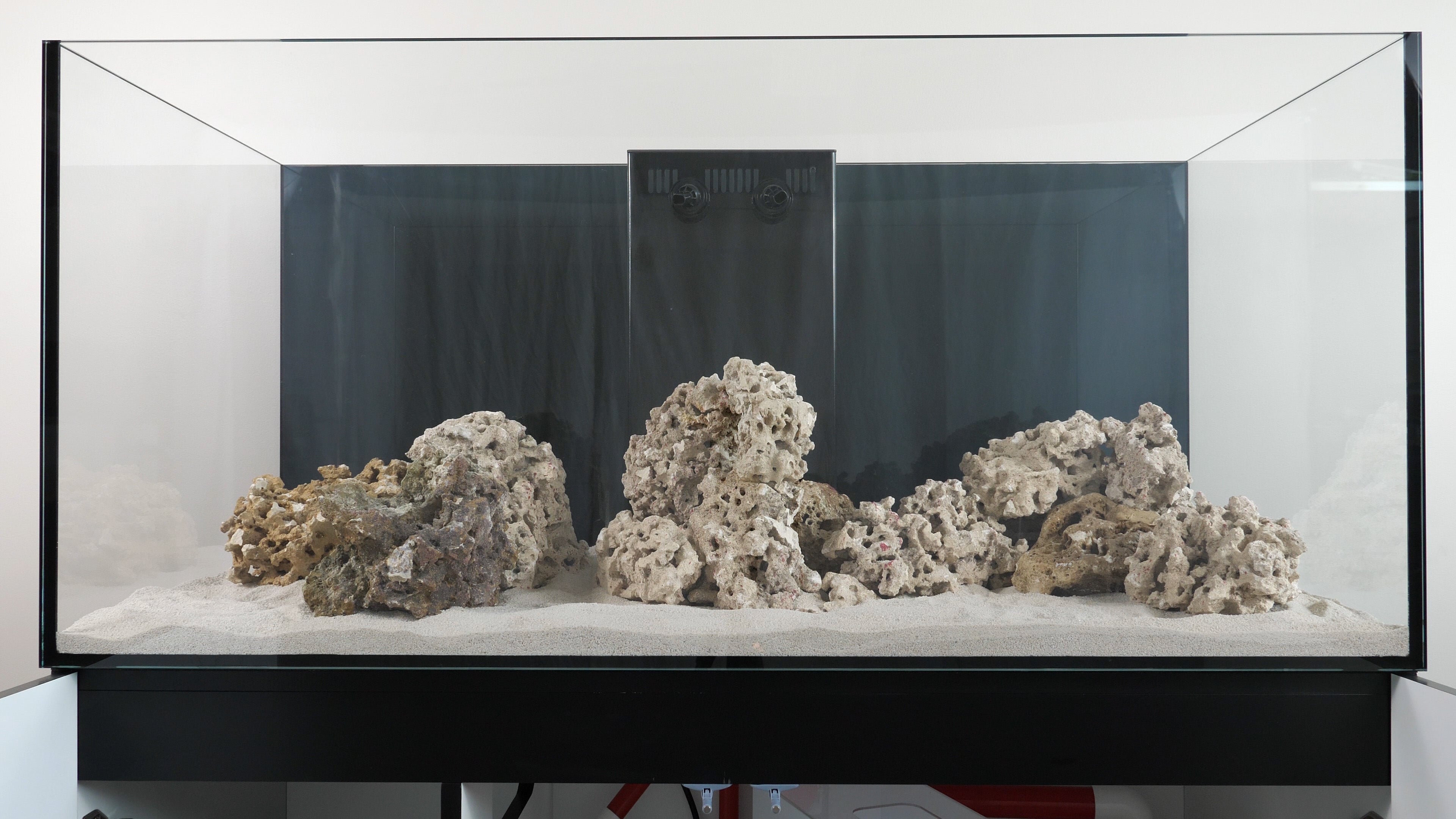 Aquarium Rockscaping Ideas