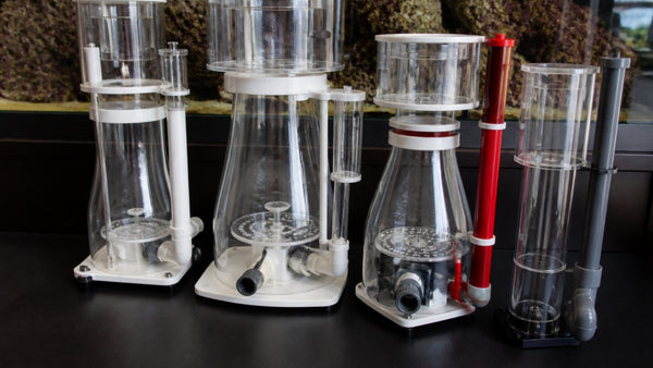 Best Protein Skimmers for Reef Tanks: 2026 Guide