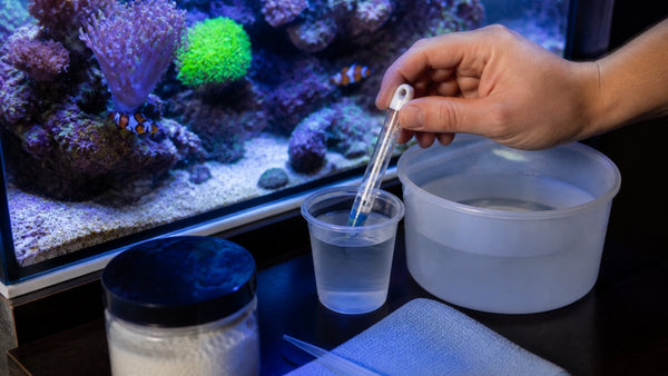 How to Maintain Stable Aquarium Salinity