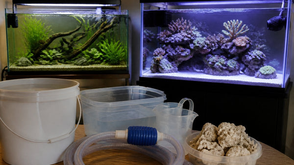 How to Transition From Freshwater to Saltwater