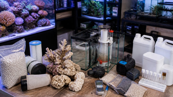 What Are the Best Alternatives to Bulk Reef Supply?