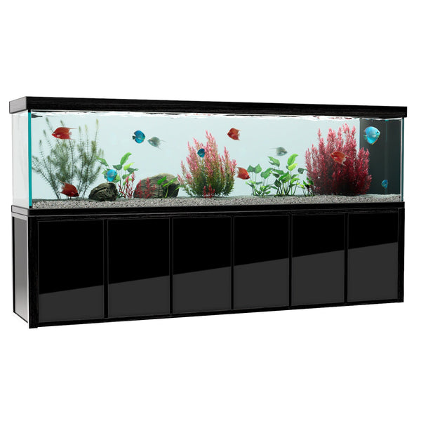 biggest fish in tank